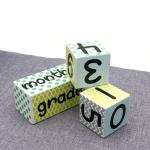Custom Baby Wooden Milestone Blocks DIY Big Wooden Block