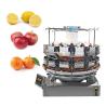 Buy cheap Automatic Dried Vegetables Weighing Digital Scales Multihead 14 Heads Dried Fruits Combination Weigher from wholesalers