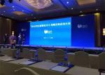 Pixel pitch P4.81mm Indoor Rental LED Display Publicity Screens 500*1000mm