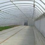 Humidity Controlled Sunlight Greenhouse for Large Tomato Cucumber Cultivation in