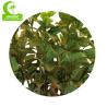Buy cheap Customized 180cm fake Natural Foliage Variegated Croton Plant from wholesalers
