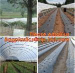 Perforated plastic mulch film save drilling troubles,perforated agricultural