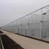 Buy cheap Hydroponics Irrigation System for Strawberry/Flowers/Vegetables Multi-Span Frame Steel Galvanized Plastic Greenhouse from wholesalers