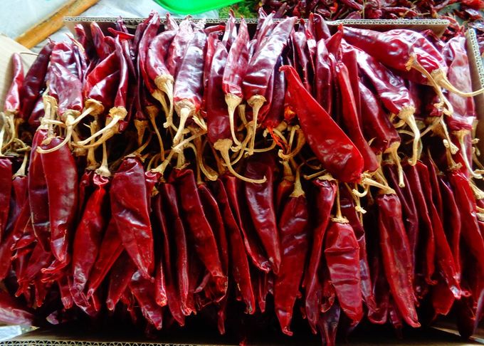 Medium Hot Dried Guajillo Chili 12% Moisture Red Chile Peppers 10000SHU