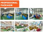 Customized 4 Pcs Electric Drill Cleaning Brush Set For Car For Household