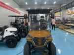 4 Seater Golf Car Cart Golf Buggy 72V Lithium Golf Electric Street Legal Cart