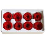 Natural preserved fresh flowers for Valentines day Never Withered Flowers Home