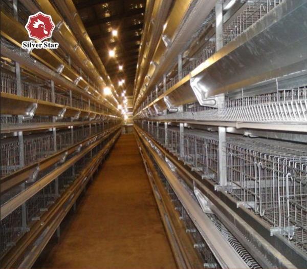 Buy cheap 3 Phase Farm Layer Chicken Cage Poultry H Type Layer Cage from wholesalers