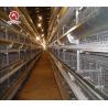 Buy cheap Reliable Medium Sized Broiler Cages For Effective Management Of Young Chicks from wholesalers
