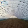 Buy cheap Agricultural Single Span Tunnel Strawberry PE Greenhouse Tunnel Plastic Greenhouse from wholesalers