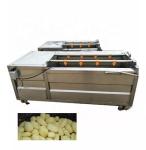 1.1KW Fruit Vegetable Processing Machine Potato Washing And Peeling Machine