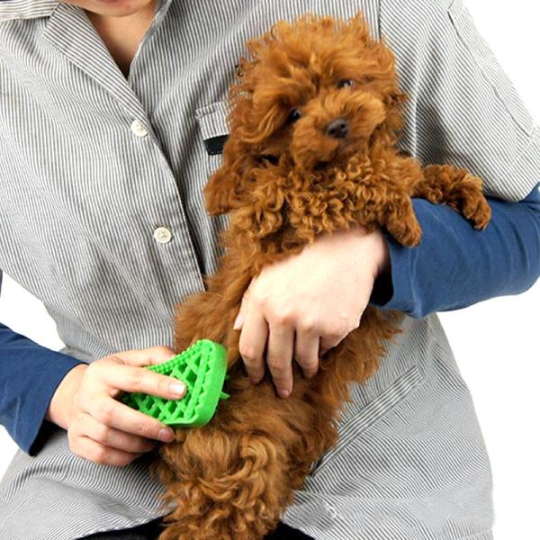 Buy cheap Dog Hair Pet Massage Pet Cleaning Brush Deodorant Antipruritic from wholesalers