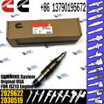 2029622 Genuine Diesel Common Rail Fuel Injector 1948565 2030519 2031836 2031835