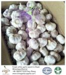 China garlic to Brazil