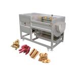 SUS304 Stainless Steel Industrial Potato Peeler and Vegetable Washer for