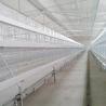 Buy cheap Husbandry Livestock Poultry Chicken Cage 4 Tiers 8 Doors High Durability from wholesalers