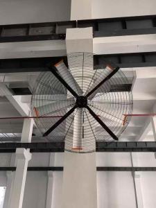 Wholesale 500W Industrial Oscillating Fan Wall Mount With Large Scale Air Movement from china suppliers