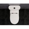 Buy cheap ARROW Washdown 1 One Piece Round Toilet Dual Flush Comfort Height from wholesalers