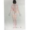 Buy cheap English Acupuncture Wall Chart 7PCS Per Set Human Acupuncture Chart from wholesalers