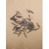 Buy cheap PIT TAG ISO11784/785 FDX-A/B rfid animal glass tag from wholesalers