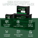 12.8V 100Ah LiFePO4 Battery Enerforce OEM Long Lifespan for Solar and Backup