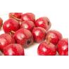 Buy cheap Hawthorn Fruit P.E. Total flavone5%-90%, Cardiovascular Health ,Promoting digest , Chinese manufacturer hot sale from wholesalers