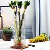 Buy cheap High Quality Wedding Decorative Clear Glass Vase from wholesalers