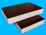 cheap construction materials/18mm film faced plywood/film faced shuttering