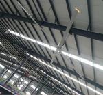6 Blade 16 Foot 5.0M High Volume Low Speed Fans