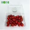 Buy cheap Disposable Clear PET Clamshell Hinged Lid Container Packing Supermarket Plastic Blister Fruit Salad Box With Holes from wholesalers