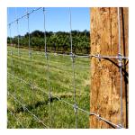 Metal Frame Farm Fence Galvanized Fixed Knot Field Wire Hinge for Cattle Horse