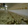 Buy cheap Broiler Poultry Feed, India Broiler Poultry Feed Suppliers from wholesalers