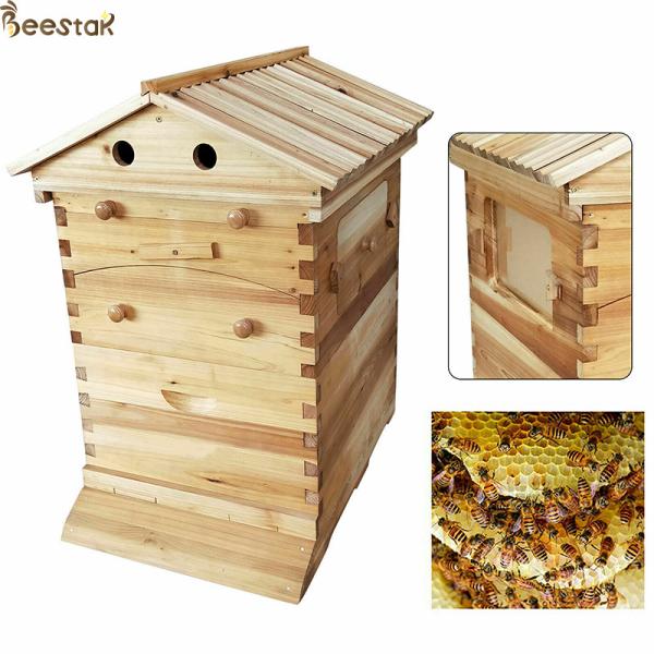 Buy cheap Beehive Apiculture Beekeeping Equipment Automatic Self Flowing for Beekeeping from wholesalers