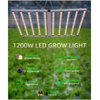 Buy cheap 1200W Dimmable Full Spectrum LED Light Panels With 4x6ft Coverage product