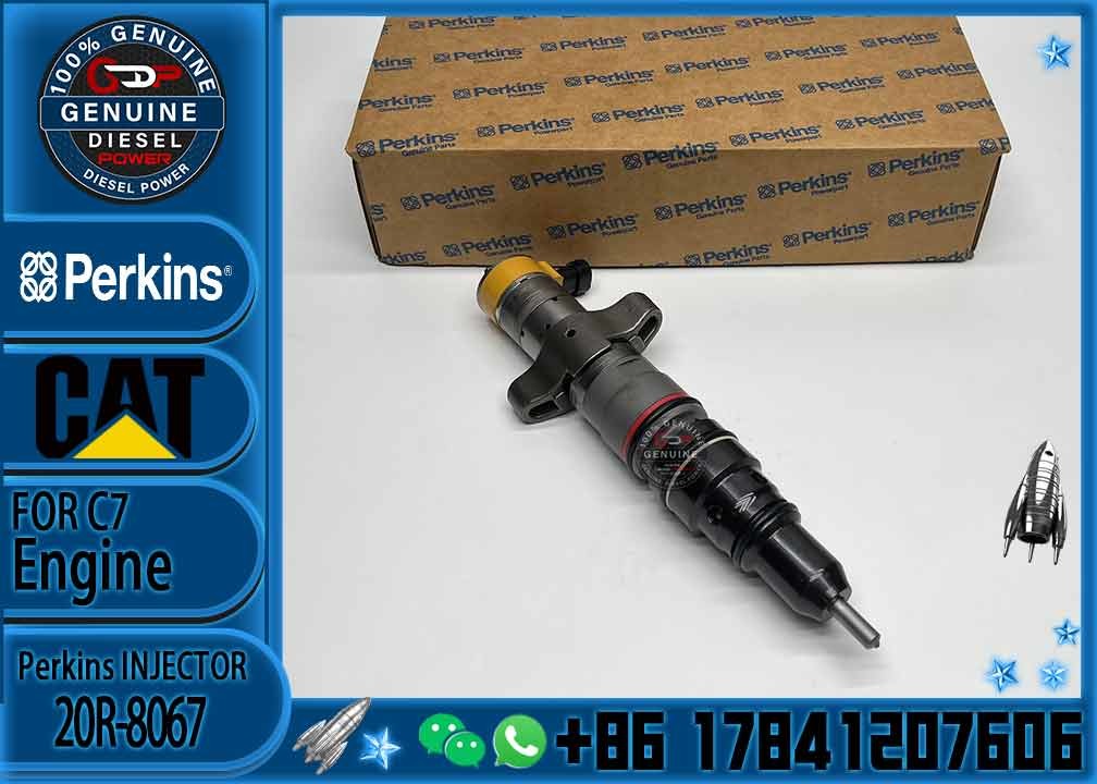 Diesel Engine Parts Common Rail Fuel Injector 20R-8067 for CAT C7 Diesel Engine CNDIP Factory price