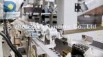 Five Station Washing Machine Motor Rotor Automatic Balancing Machine Switched