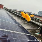 Photovoltaic Farms Washing System Effective Solution with Double-Head Spin Brush