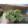 Buy cheap Length 45cm Fresh Garlic Bolt Garlic Sprout 10kgs/Carton from wholesalers