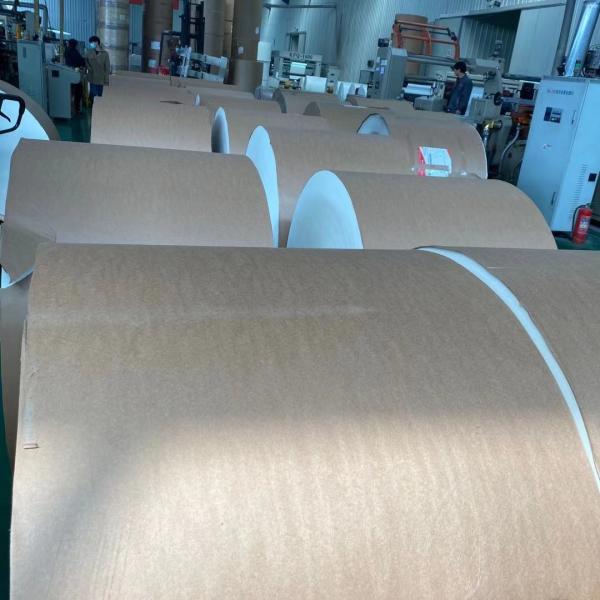 Buy cheap FBB C1S Ivory Board 750mm Grey Back Duplex Board All Size Thick from wholesalers