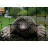 Buy cheap Black Polypropylene Agricultural Netting Anti Mole Mesh 16mmX16mm Hole Size from wholesalers