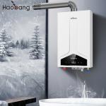 Gas Water Heater with Balanced Flue Water Heater 110V-220V Electrical Voltage No