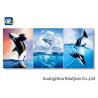 Buy cheap Shark Ocean Animal Flipped Poster , 3D Changing Pictures Flipped Indoor Decor Art from wholesalers
