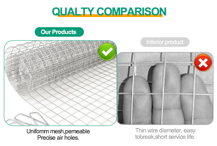 Galvanized Welded Wire Mesh Screen for Long-Lasting and Durable Protection