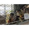 Buy cheap X- Tend Stainless Steel Wire Rope Zoo Mesh For Tigers And Monkeys from wholesalers