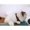 Buy cheap Woven Safe Cat Collars Personalised Quick Release Cat Collar Soft Buckle from wholesalers