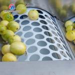 280KG Lemon screening and grading machine special stainless steel roller fruit