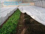 Pla Spunbond Nonwoven for Agricultue cover,Nonwoven Fabric, customized