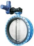 Double Eccentric Butterfly Valve D71X Lug Support for Pharmaceutical Application