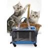 Buy cheap Breathable Airline Approved Pet Carrier Bag Portable Folding Travel Pet Trolley Carrier from wholesalers