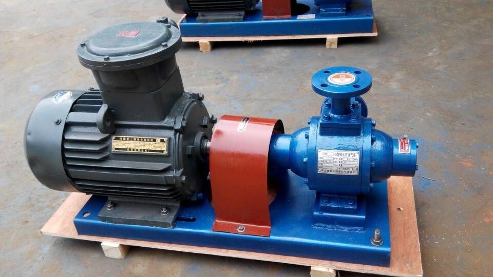 Electric Motor-Powered Standard Propane Vane Pump for Standard Fuel Transfer Requirements